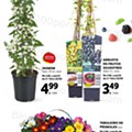 Antevisão Folheto LIDL Especial Jardinagem d29.jpg